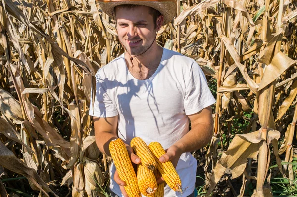 Agricultor —  Fotos de Stock