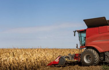 Sunny Day 'de Tarlada Mısır Toplama Operatörünü Birleştir.