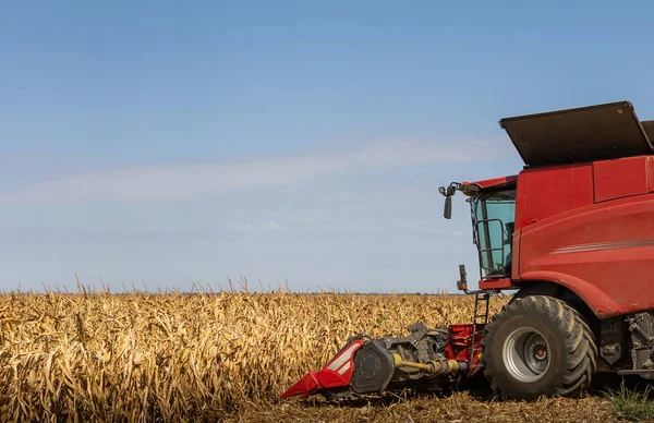 Sunny Day 'de Tarlada Mısır Toplama Operatörünü Birleştir.