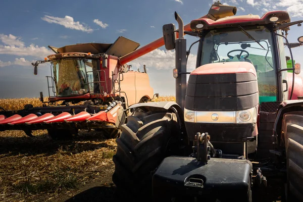 Tarladaki bir karavandan tahıl yüklemesi.