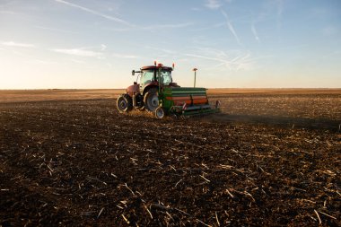 Traktör tohumu eken bir çiftçi. Tarım tarlasına ekin ekiyor. Bitkiler, buğday.
