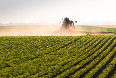 Traktör gün batımında yemyeşil bir alanda soya püskürtüyor.. 