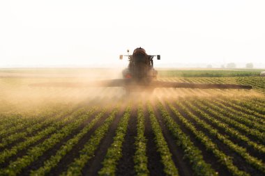 Traktör gün batımında yemyeşil bir alanda soya püskürtüyor.. 