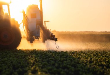 Traktör gün batımında yemyeşil bir alanda soya püskürtüyor..