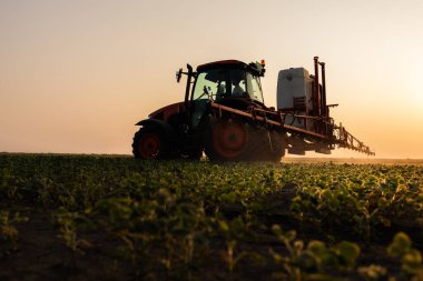 Traktör gün batımında yemyeşil bir alanda soya püskürtüyor..