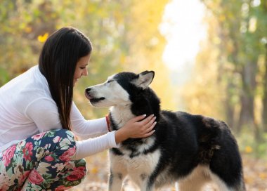 İnsan ve Hayvan İlişkileri Fikirleri ve Kavramları. Sonbahar Ormanı 'nda Husky Köpeğiyle Dışarıda Dolaşan Kız.