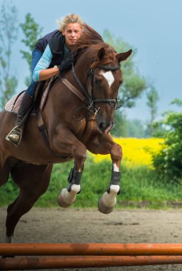 Atlı süveter. Genç kız atla atlıyor..