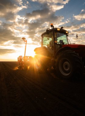 Günbatımı, traktördeki çiftçi tohum yatağı ile toprağı hazırlıyor..