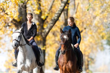 İki kız güzel ata biniyor. İki kız sonbahar ormanlarında ata biniyor.