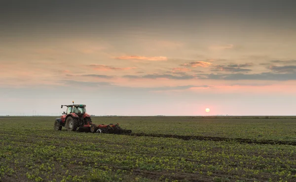 Tracteur labourant un champ — Photo