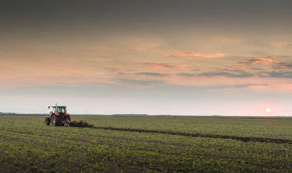 Traktor pflügt ein Feld um — Stockfoto