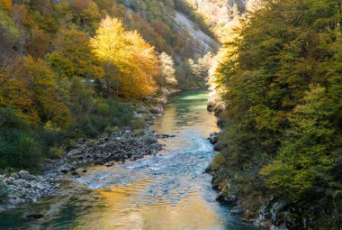 Kanyon Nehri'nin Tara, Karadağ