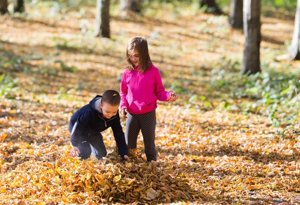 Niños jugando con hojas — Foto de Stock