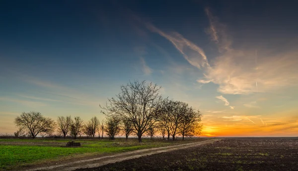 Sonnenaufgang über einem Feld — Stockfoto