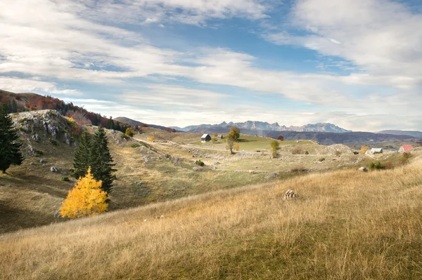 Paesaggio autunnale in montagna — Foto Stock