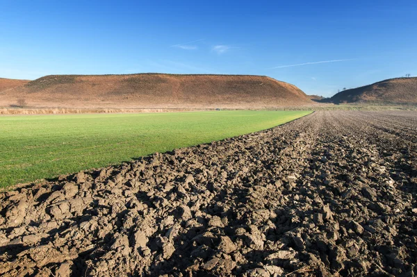 Campo de manhã — Fotografia de Stock