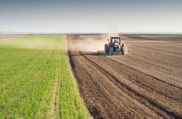 Preparing land for sowing — Stock Photo, Image