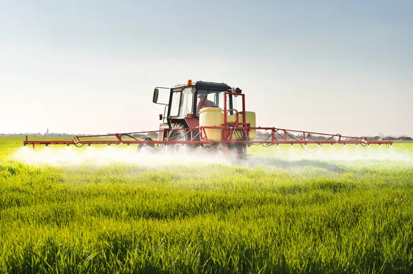 Trattore a spruzzo campo di grano — Foto Stock