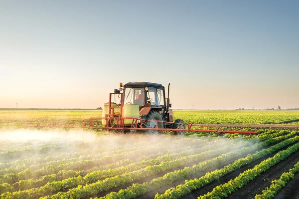 Traktor versprüht Sojabohne — Stockfoto