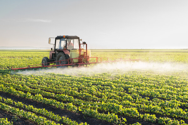 Tractor spraying soybean