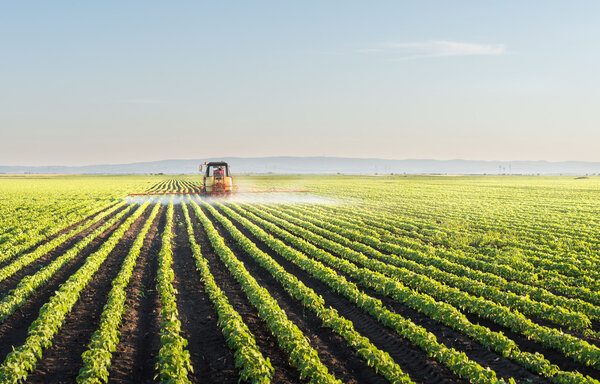 Tractor spraying soybean 