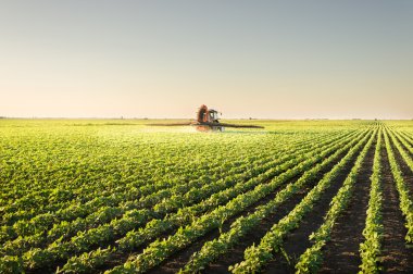 Tractor spraying pesticides  clipart