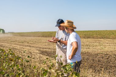 Farmers in soybean fields clipart