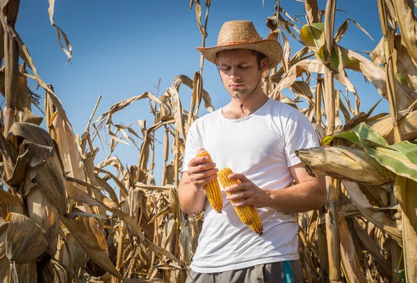 Agricultor no terreno — Fotografia de Stock