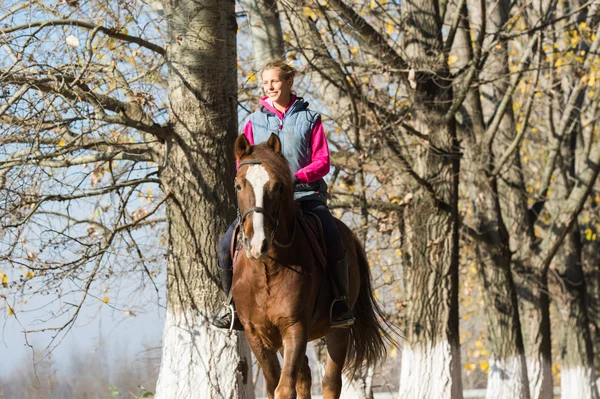 Young girl riding horses — Stock Photo, Image