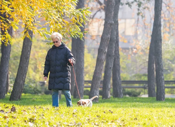 강아지와 함께 오래 된 여자 — 스톡 사진