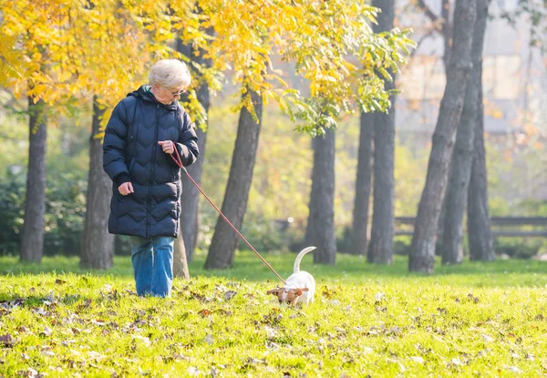 Old woman with a dog — Stock Photo, Image