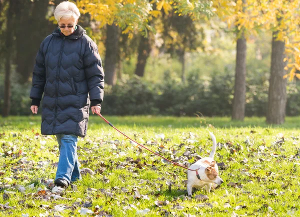 Oude vrouw met een hond — Stockfoto