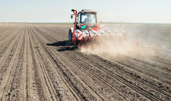 Sowing  in the spring — Stock Photo, Image