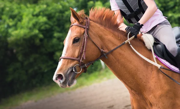 Fille monter un cheval — Photo