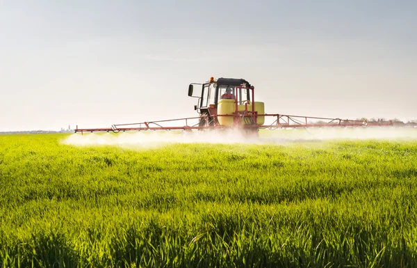 Traktor versprüht Weizenfeld — Stockfoto