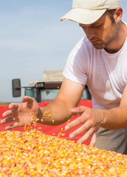 Agricoltore che detiene mais — Foto Stock