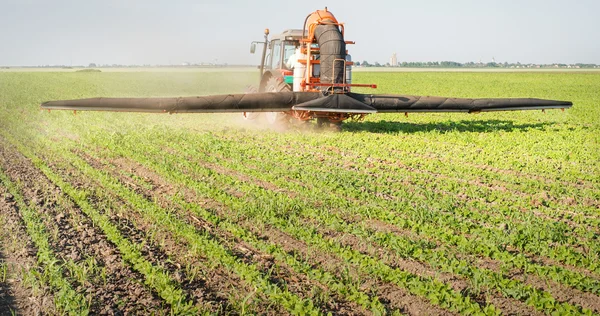 Traktor som sprutar bekämpningsmedel — Stockfoto