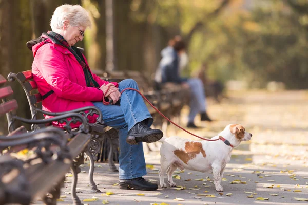 Old woman with a dog — Stock Photo, Image