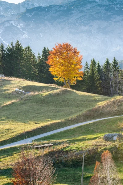 Krajina v horách — Stock fotografie