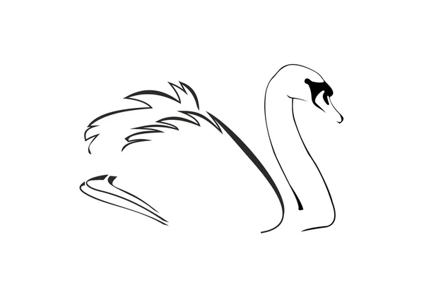 Croquis de cygne par des lignes noires — Image vectorielle