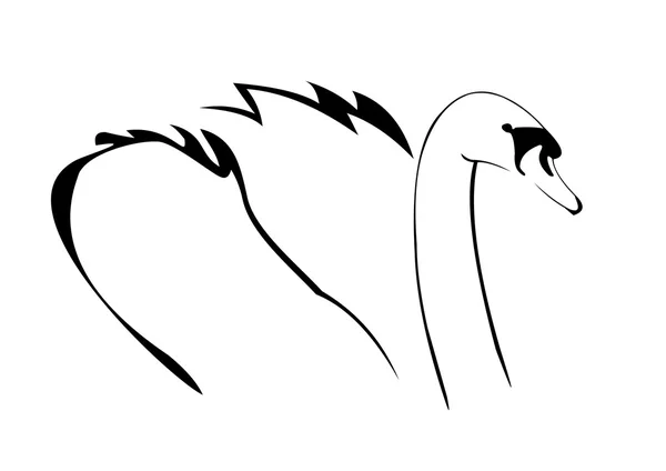 Эскиз лебедя — стоковый вектор