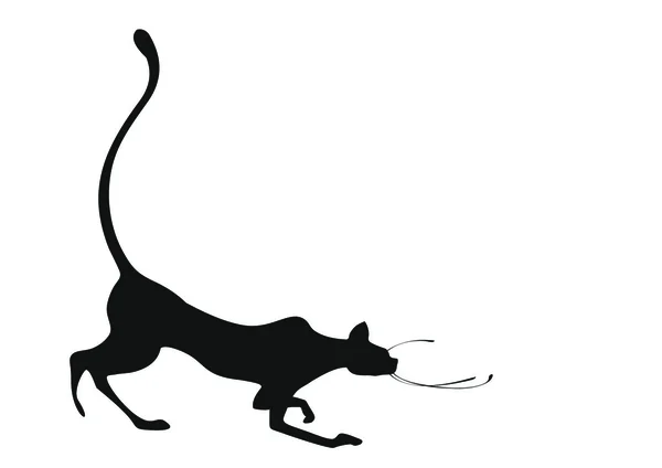 Silhouetted large cat — Stock Vector