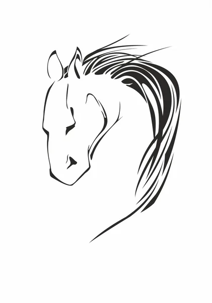 Hlava koně na bílém pozadí — Stockový vektor