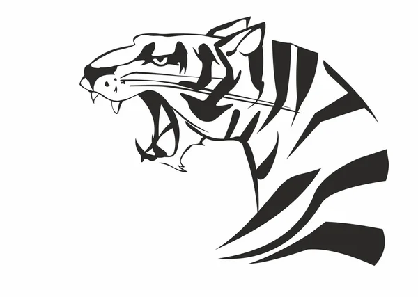 Hoofd van large tijger — Stockvector