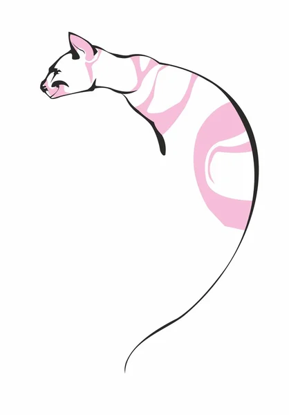 Hermoso gato rosa grande — Vector de stock