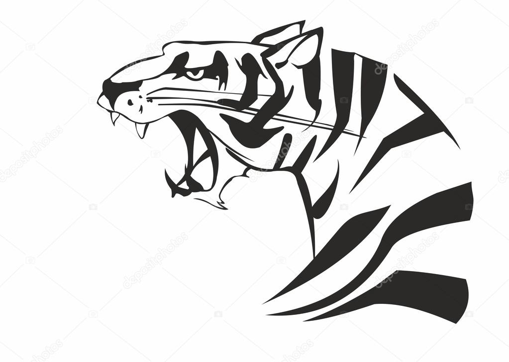 Vector of head of large aggressive tiger. An image is isolated on a white background. A symbol of power and speed