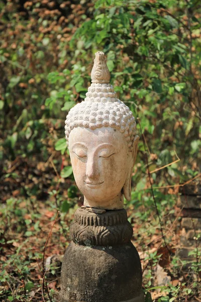 Las cabezas de la antigua estatua de buddha abandonada — Foto de Stock