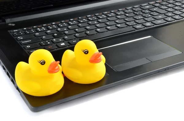 Dois patos de plástico amarelo no computador portátil isolado no branco Fotos De Bancos De Imagens