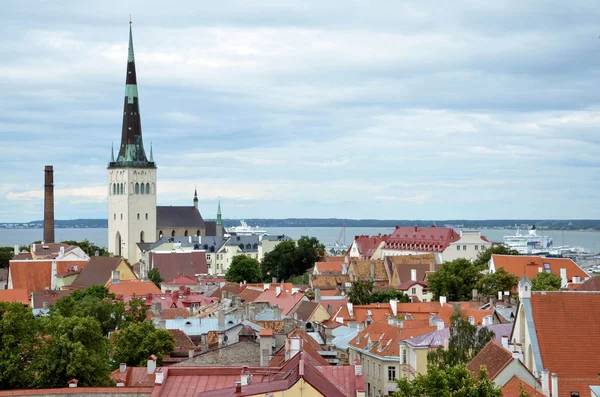 Tallinn / Estland - 27 juli 2013: uitzicht op de oude stad van Tallinn, St. Olaf Kerk in de achtergrond — Stockfoto