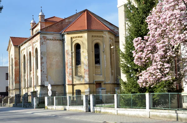 Sinagoga judaica desolada ao sol na primavera. Visão traseira da rua . — Fotografia de Stock